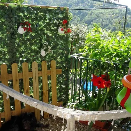 La Casa Dei Limoni Bed & Breakfast