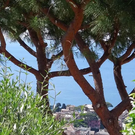La Casa Dei Limoni 2* Genova