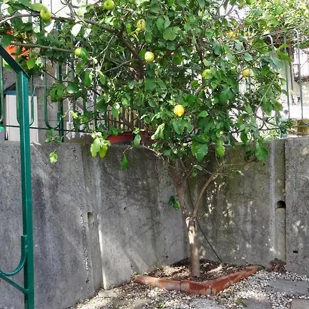 La Casa Dei Limoni